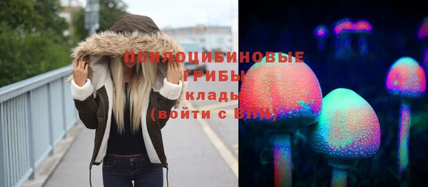 твердый Алзамай