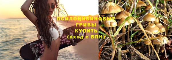 крисы Алексеевка