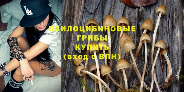 a pvp Алексин